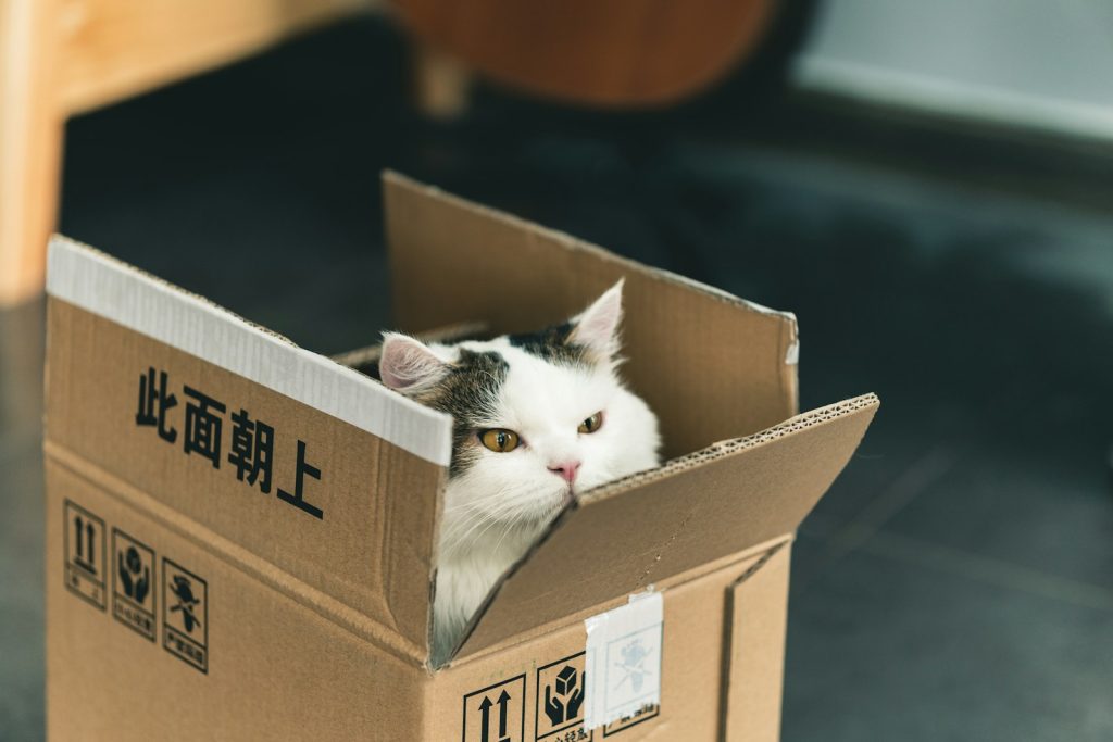 Get the latest Move In Move Out Cleaning Checklist for your home